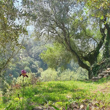 Casa Das Janelinhas - Cottage Near Sintra, Mafra, Ericeira Ngoại thất bức ảnh