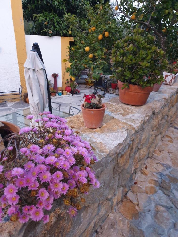 Casa Das Janelinhas - Cottage Near Sintra, Mafra, Ericeira Ngoại thất bức ảnh