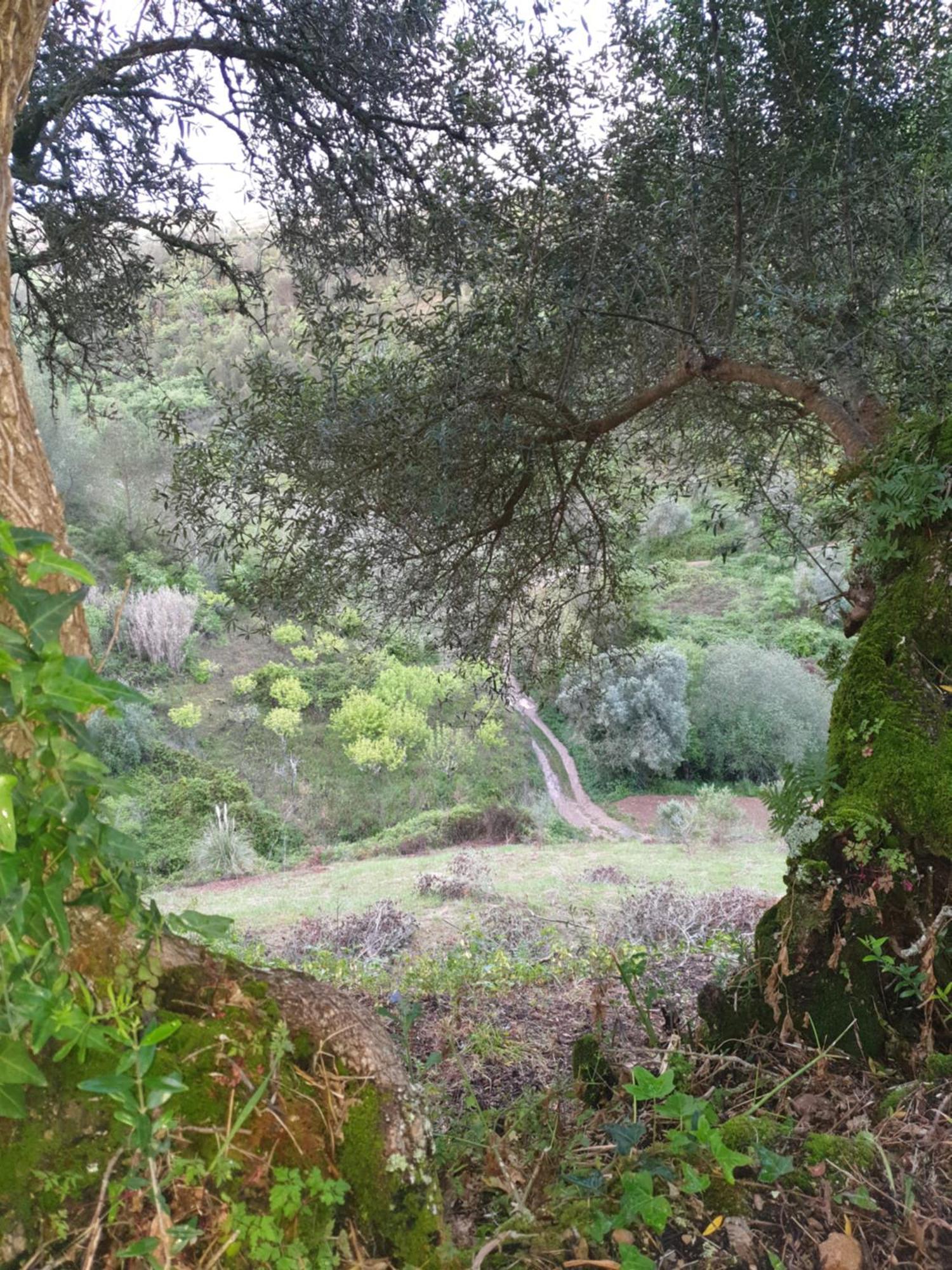 Casa Das Janelinhas - Cottage Near Sintra, Mafra, Ericeira Ngoại thất bức ảnh