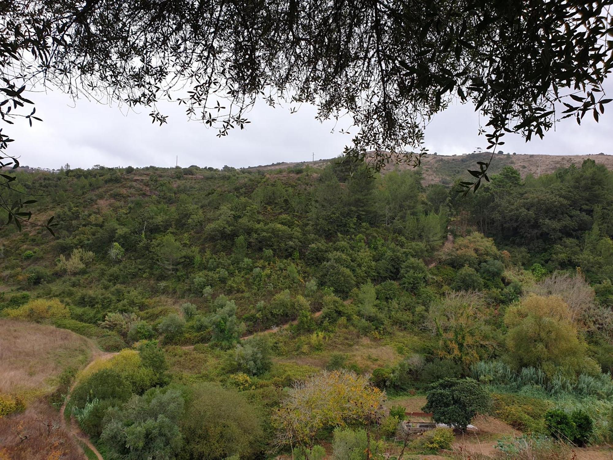 Casa Das Janelinhas - Cottage Near Sintra, Mafra, Ericeira Ngoại thất bức ảnh